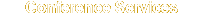 Conference Services