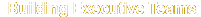 Building Executive Teams
