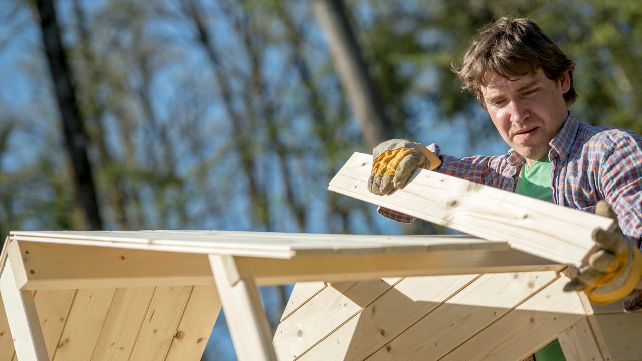 A team-assembled dog house, the centerpiece add-on to Housewarming
