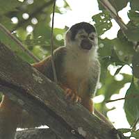 Costa Rica Tours