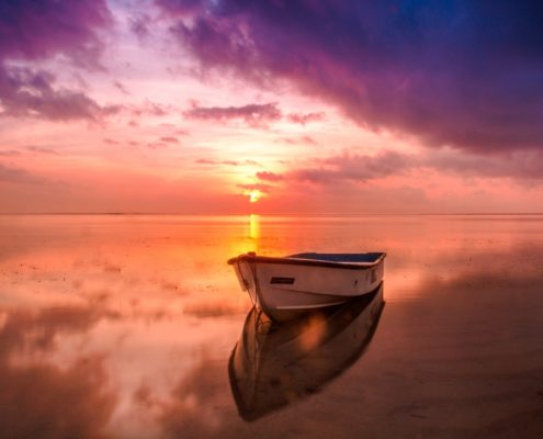 boats